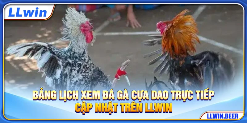 Bảng lịch xem đá gà cựa dao trực tiếp cập nhật trên LLWIN Bảng lịch xem đá gà cựa dao trực tiếp cập nhật trên LLWIN