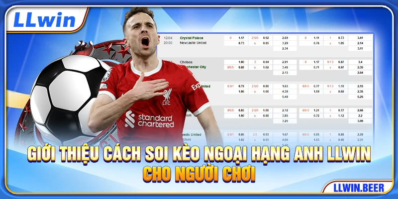Giới thiệu cách soi kèo Ngoại Hạng Anh LLWIN cho người chơi Giới thiệu cách soi kèo Ngoại Hạng Anh LLWIN cho người chơi
