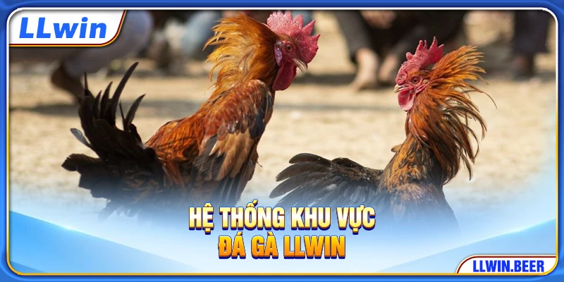 Hệ thống khu vực đá gà LLWIN